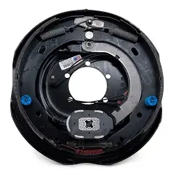 Dexter Electric Brake Assembly 12 inch for Right Side