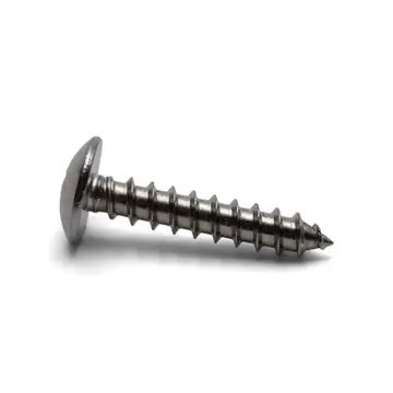 Stainless Steel 10 x 1 Truss Phillip Screw